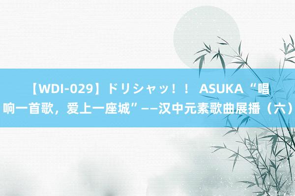 【WDI-029】ドリシャッ！！ ASUKA “唱响一首歌，爱上一座城”——汉中元素歌曲展播（六）