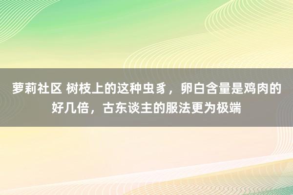 萝莉社区 树枝上的这种虫豸，卵白含量是鸡肉的好几倍，古东谈主的服法更为极端