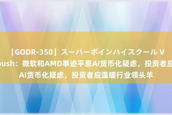 【GODR-350】スーパーボインハイスクール VOL.1 投行Wedbush：微软和AMD事迹平息AI货币化疑虑，投资者应温暖行业领头羊