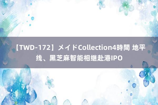 【TWD-172】メイドCollection4時間 地平线、黑芝麻智能相继赴港IPO