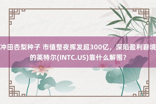 冲田杏梨种子 市值整夜挥发超300亿，深陷盈利窘境的英特尔(INTC.US)靠什么解围？