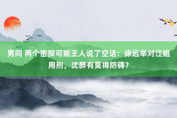 男同 两个密探可能王人说了空话：徐远举对江姐用刑，沈醉有莫得防碍？