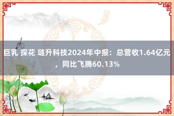 巨乳 探花 琏升科技2024年中报：总营收1.64亿元，同比飞腾60.13%