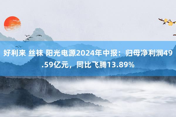 好利来 丝袜 阳光电源2024年中报：归母净利润49.59亿元，同比飞腾13.89%