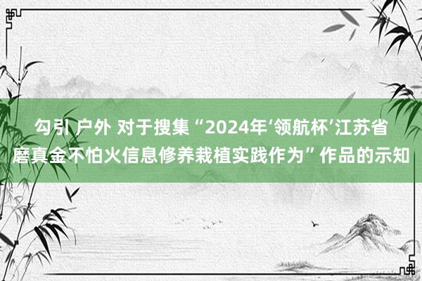 勾引 户外 对于搜集“2024年‘领航杯’江苏省磨真金不怕火信息修养栽植实践作为”作品的示知