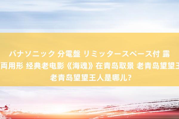 パナソニック 分電盤 リミッタースペース付 露出・半埋込両用形 经典老电影《海魂》在青岛取景 老青岛望望王人是哪儿？