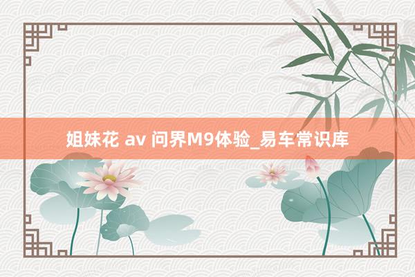 姐妹花 av 问界M9体验_易车常识库