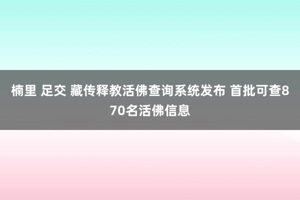 楠里 足交 藏传释教活佛查询系统发布 首批可查870名活佛信息