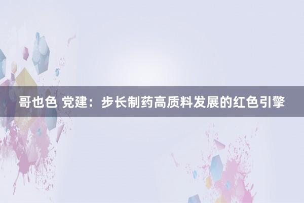 哥也色 党建：步长制药高质料发展的红色引擎